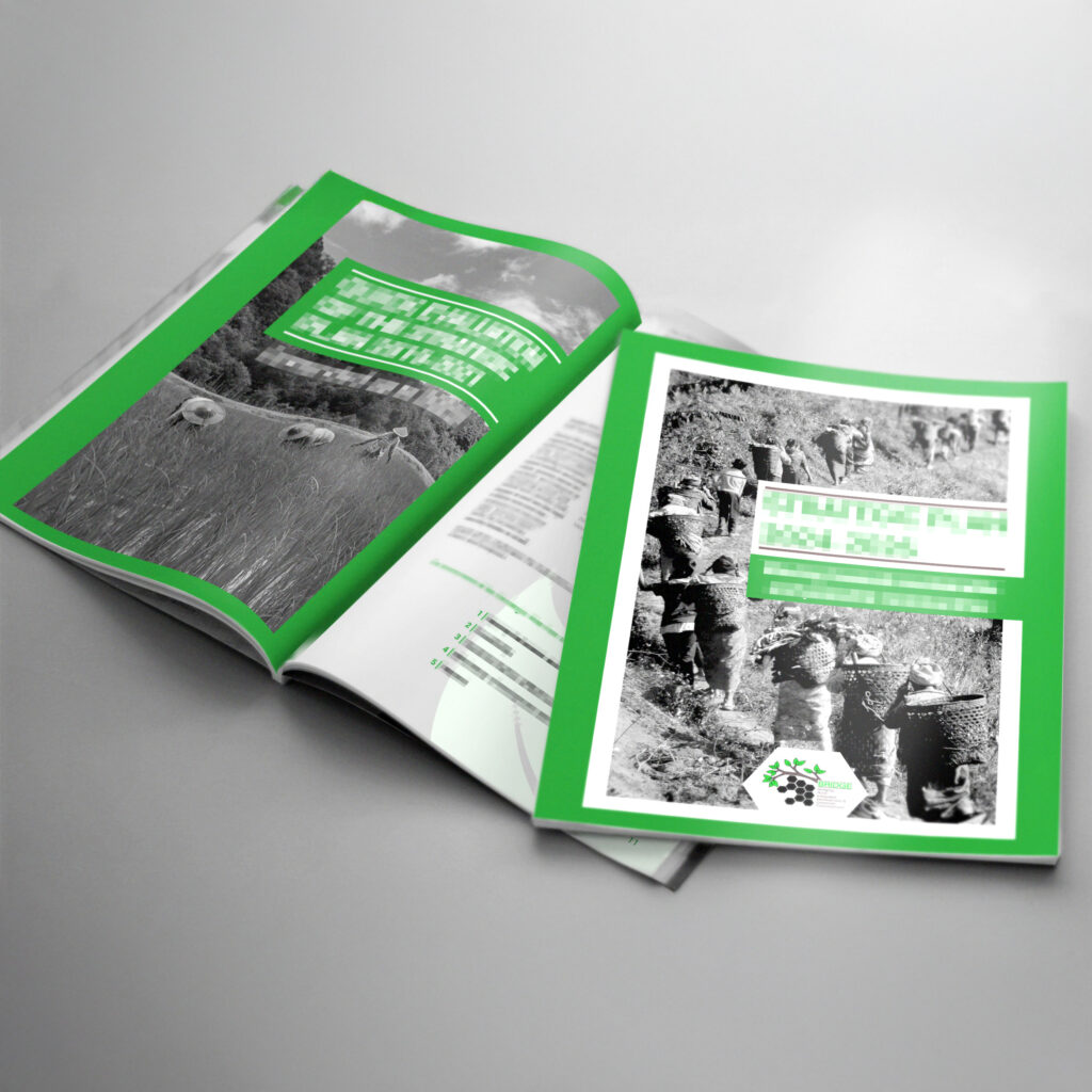 Teresa Almansa comunicación visual estratégica, manual corporativo, diseñadora gráfica Logroño, diseñador grafico empresas, maquetación editorial