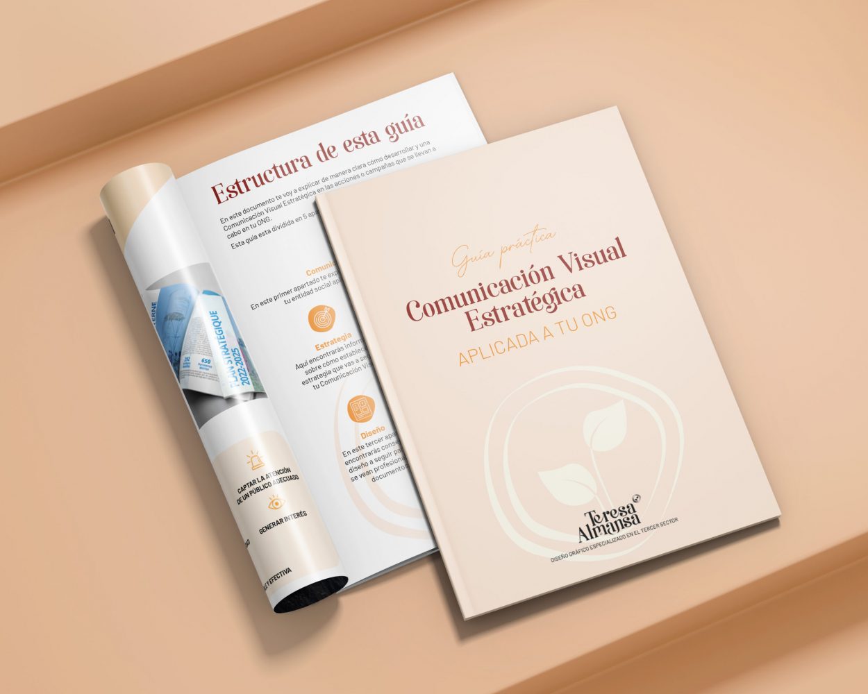 Descarga guia gratuita Teresa Almansa diseño grafico social comunicación visual estratégica, manual corporativo, diseñadora gráfica Logroño, diseñador grafico tercer sector, ong, fundacion, asociacion, entidades sociales, maquetación editorial